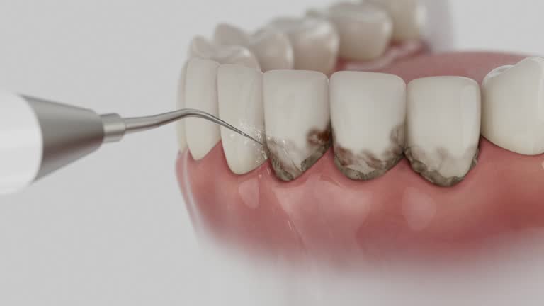 Reliable Dental contractor in Arbury Hills, IL by Dentist Open Now